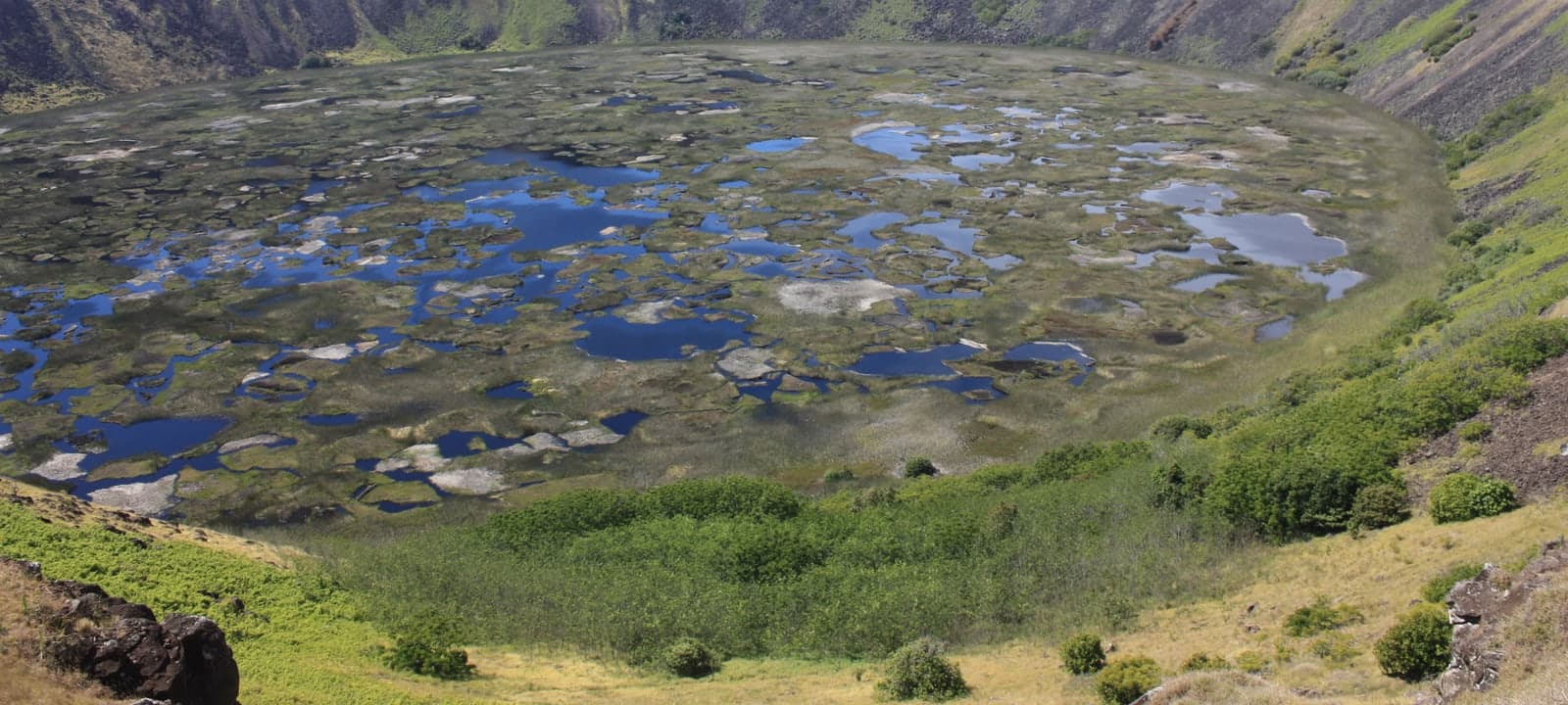 Clear water flowing over stones in a forest stream.