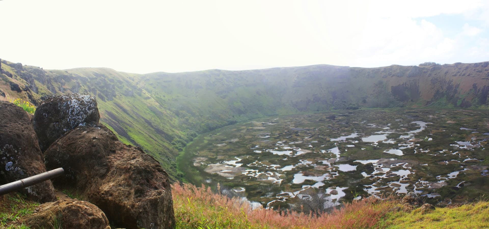Sunlit path through tall trees in a forest.