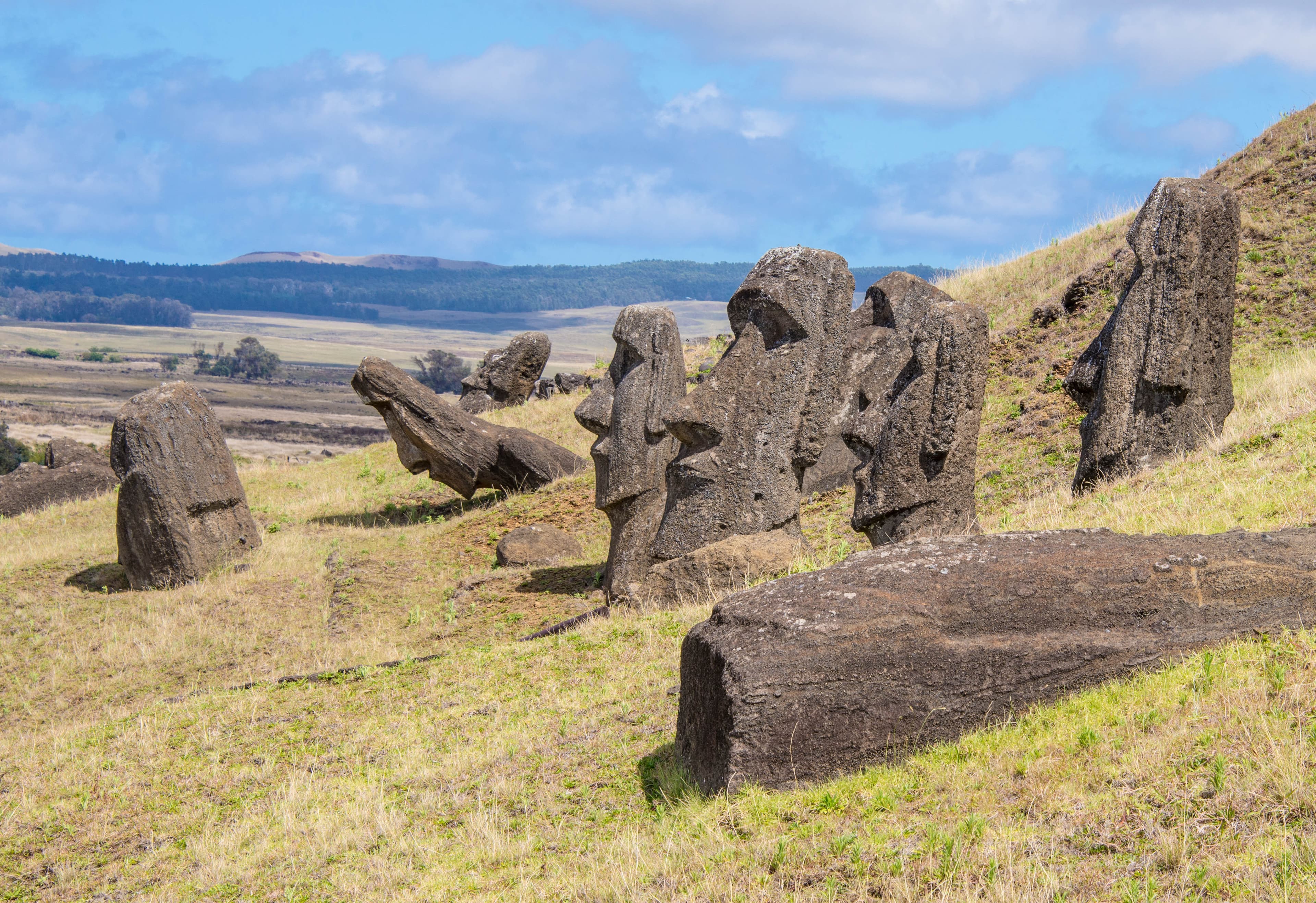 Moai statues on the slopes of Rano Raraku quarry